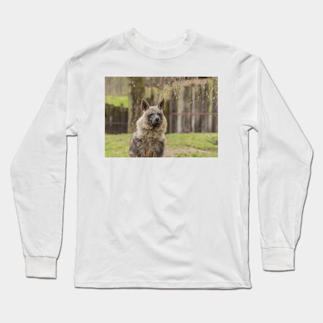 Brown Hyena Long Sleeve T-Shirt by Photomisak72